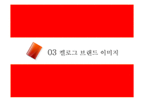 켈로그 브랜드 이미지-12