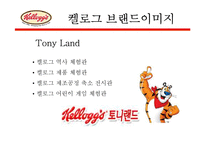 켈로그 브랜드 이미지-18