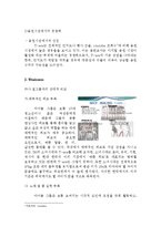 [마케팅] 티아라의 성공적인 유럽진출-2