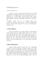 [마케팅] 티아라의 성공적인 유럽진출-8