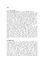 [마케팅] 티아라의 성공적인 유럽진출-11
