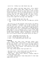 [마케팅] 티아라의 성공적인 유럽진출-13