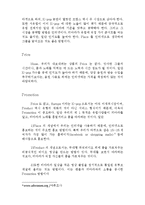 [마케팅] 티아라의 성공적인 유럽진출-18