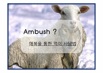 앰부쉬 마케팅(Ambush Marketing)-2