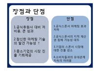 앰부쉬 마케팅(Ambush Marketing)-16