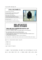 결점(flawsome) 마케팅(영문)-18