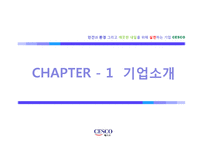[성공사례 분석] 세스코 마케팅 중국진출 분석-3