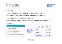 [성공사례 분석] 세스코 마케팅 중국진출 분석-5