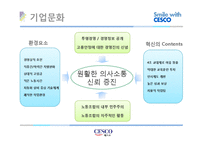 [성공사례 분석] 세스코 마케팅 중국진출 분석-6