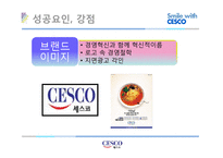 [성공사례 분석] 세스코 마케팅 중국진출 분석-18