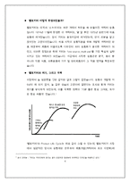 산리오 생산관리 분석-4