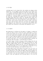 콜버그(Kohlberg) 도덕성 발달이론-12
