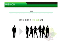 [마케팅조사] 컨디션 헛개수의 국민 음료 도약-6