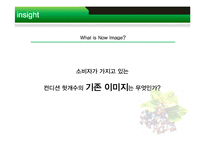 [마케팅조사] 컨디션 헛개수의 국민 음료 도약-10