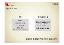 HOT6 핫식스 인쇄매체 광고전략-20