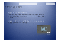 경력몰입 vs. 조직몰입-19