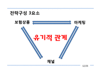 [전략경영] 알리안츠 사회초년생 고객 유입 전략-12