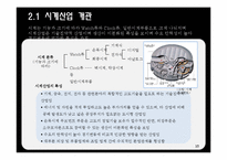 로만손의 중동시장 진출-10