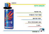 [마케팅조사] 에너지 음료 핫식스 HOT6 판매전략-10