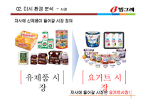 빙그레 혁신제품 아이디어 제안 -곡물요거트 마케팅전략-8