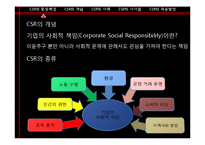 CSR의 개념과 사례-7