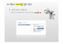 싸이월드의 해외진출 실패 분석-14