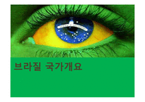 [해외투자] 브라질의 FDI투자정책과 인센티브, 진출 사례-2