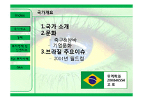 [해외투자] 브라질의 FDI투자정책과 인센티브, 진출 사례-3