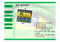 [해외투자] 브라질의 FDI투자정책과 인센티브, 진출 사례-8