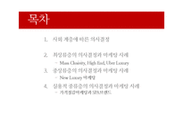 사회계층에 따른 소비자 의사결정과 마케팅 사례-2