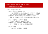 사회계층에 따른 소비자 의사결정과 마케팅 사례-11