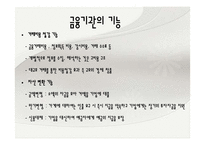 소비자와 금융 레포트-12