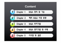 해외 M&A의 투자기법과 방어기법 유형-2