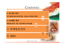 인도 글로벌소비자 세그먼트-2