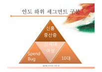 인도 글로벌소비자 세그먼트-10