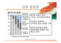 인도 글로벌소비자 세그먼트-13