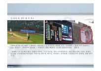 야구의 스포테인먼트화와 마케팅-12