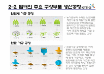 KT&G의 마케팅 전략분석, 생산과 물류 체계 분석, 조직 인사의 특징 및 재무 상태 분석-17