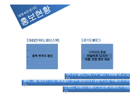 경기도 이미지 제고를 위한 IMC전략-9