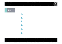 중국의 자동차 산업-2