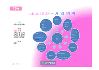 sm엔터테인먼트 조직구조 분석-11