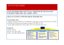 [무역학] 유럽연합(EU)-9