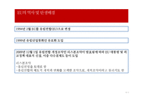 [무역학] 유럽연합(EU)-10