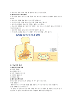 A++ 당뇨병 환자의 교육용 14쪽-4