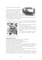 성범죄 관련 레포트-10