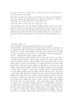 네이버 분석, 성공요인 앞으로 나아가야할 방향등-8