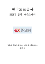 2013년 상반기 한국도로공사 공채 대비 BEST 합격 자기소개서!!!!-1
