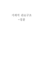 [조직론] 기계적 관료구조 -경찰-1