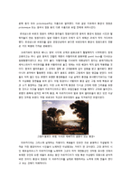 세계 정원 문화 -영국, 미국 정원-5