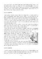 일본의 정원 레포트-7